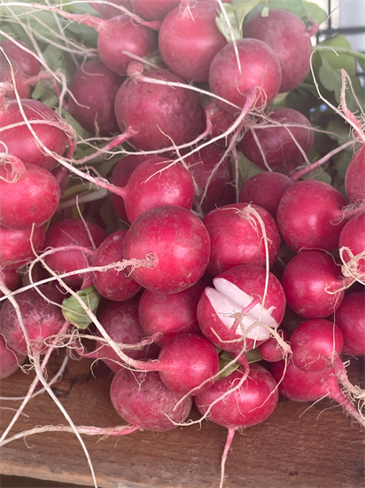 Farmers Market