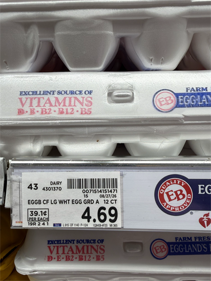 egg